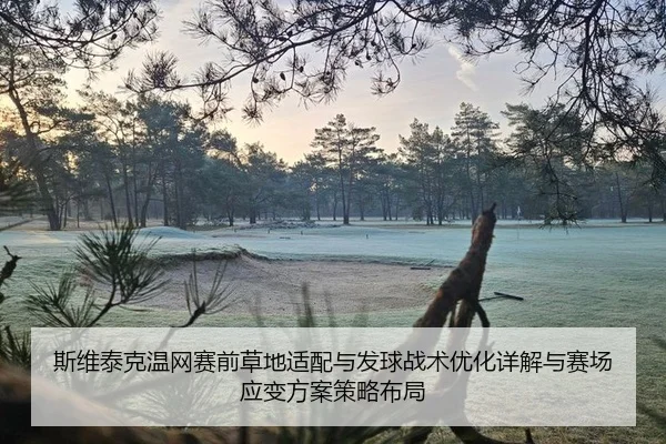斯维泰克温网赛前草地适配与发球战术优化详解与赛场应变方案策略布局